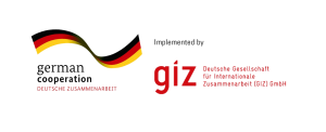 GC___GIZ_Logo_Line__1_-removebg